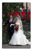 IMG_8549_800~0.jpg